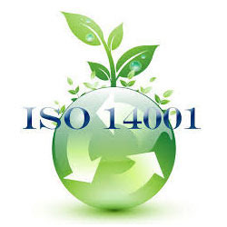 ISO 14001 Training Standards in Dubai